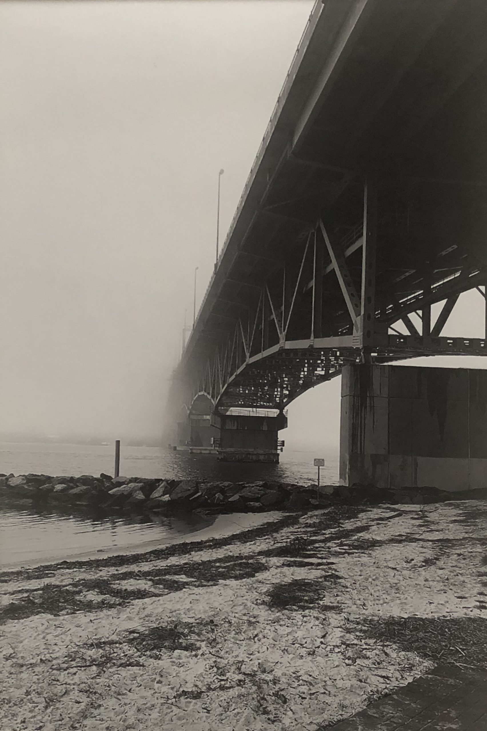 Caroline Ervin - Bridge to the Future